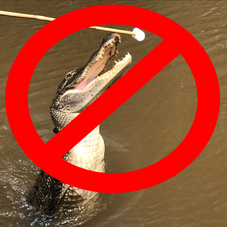 a close up of a sign